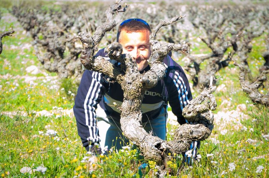 Penedès/BCN: Self-Guided eBike Tour with guided Winery Visit - Why Penedès makes a better bike outing than a quick tasting