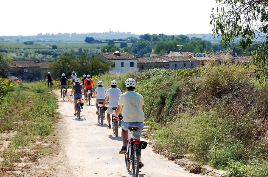 Penedès/BCN: Self-Guided eBike Tour with guided Winery Visit - The 45-minute ecological winery visit