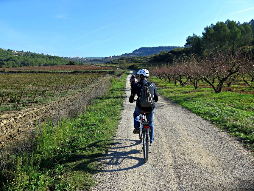 Penedès/BCN: Self-Guided eBike Tour with guided Winery Visit - Who will enjoy this most?