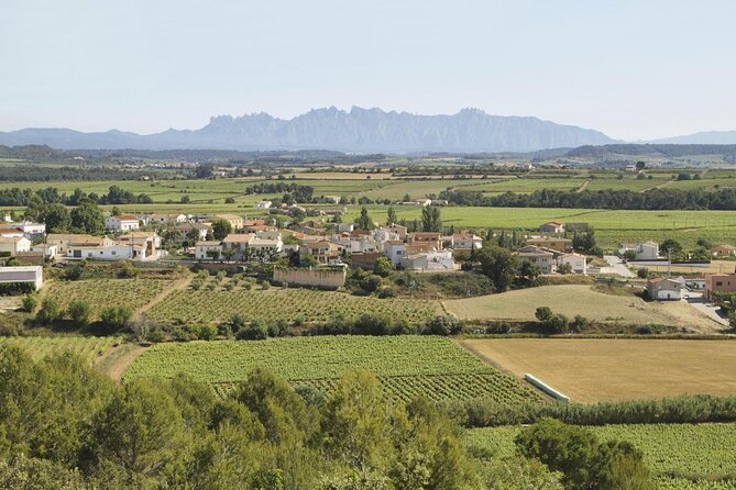 Penedes Wine & Cava Tasting & 4WD Vineyards Tour from Barcelona - Five things to know before you book