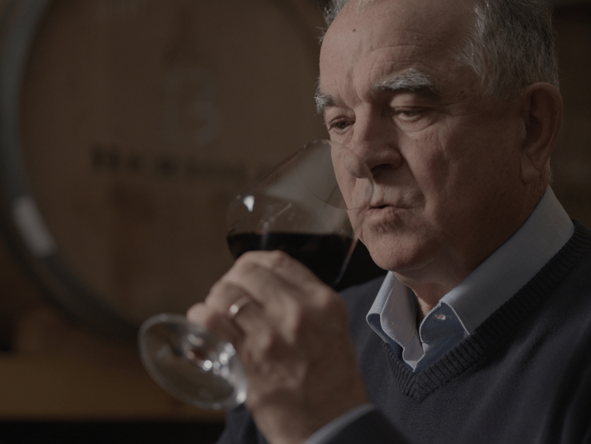 Perugia Winery Visit & Tasting near the Lake Trasimeno - Walking Through the Vineyards