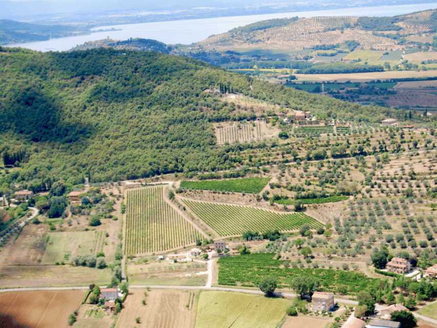 Perugia Winery Visit & Tasting near the Lake Trasimeno - Six Wines, From Sparkling to Red