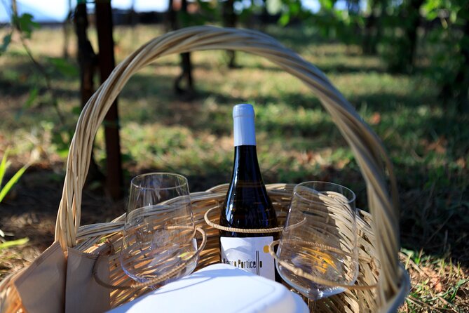 Pic-nic in the vineyard - The 12:30 p.m. start and two-hour pace