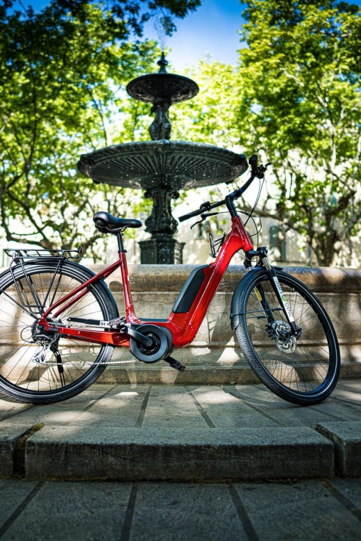 Picnic in the middle of a vineyard by e-bike - A closer look at the return ride