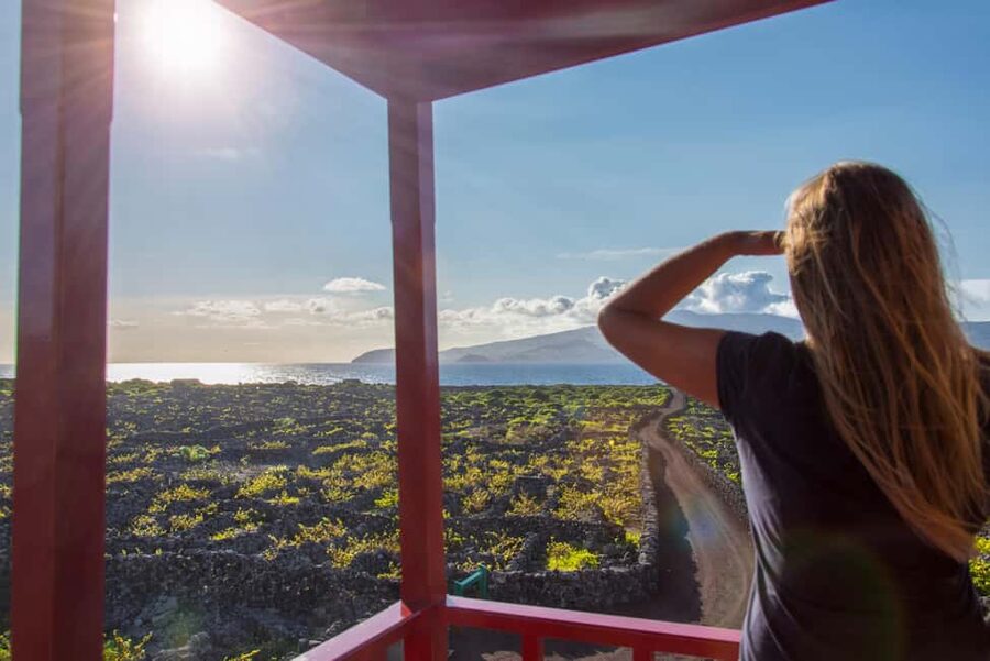 Pico Island: Wine and Vineyards Tour with Tasting - Why Pico’s vineyards are worth your time