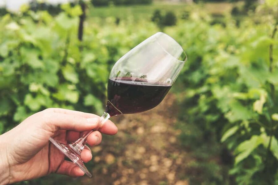 Pico Island: Wine and Vineyards Tour with Tasting - Adegas and Pico’s golden wine age