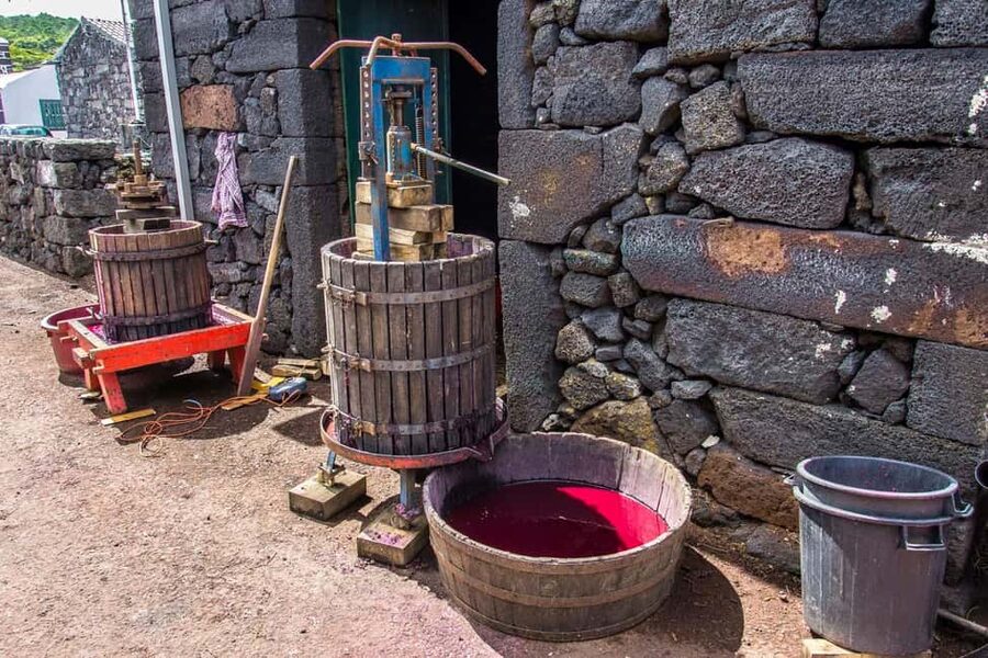 Pico Island: Wine and Vineyards Tour with Tasting - Small details that make the day easier
