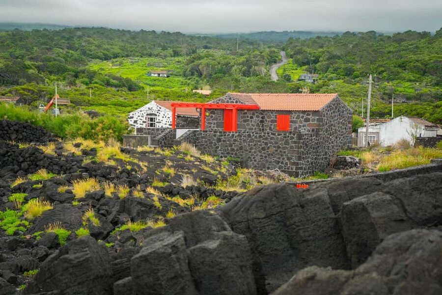 Pico Island: Wine and Vineyards Tour with Tasting - Meeting in Madalena and getting started