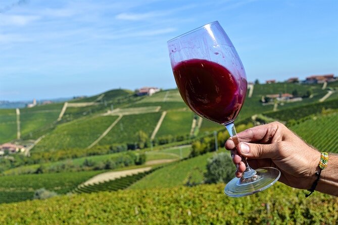 Piemonte Vineyards by Yourself from Turin - Business Car with English Chauffeur - Leaving Turin for the Langhe