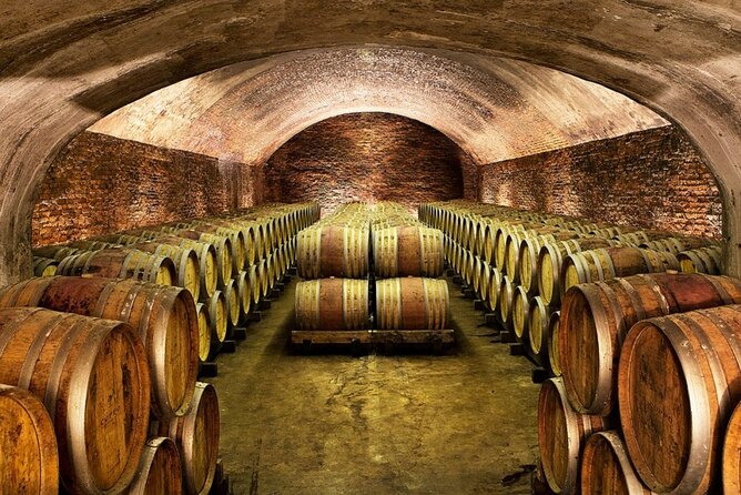 Piemonte Vineyards by Yourself from Turin - Business Car with English Chauffeur - The chauffeurs make or break the day