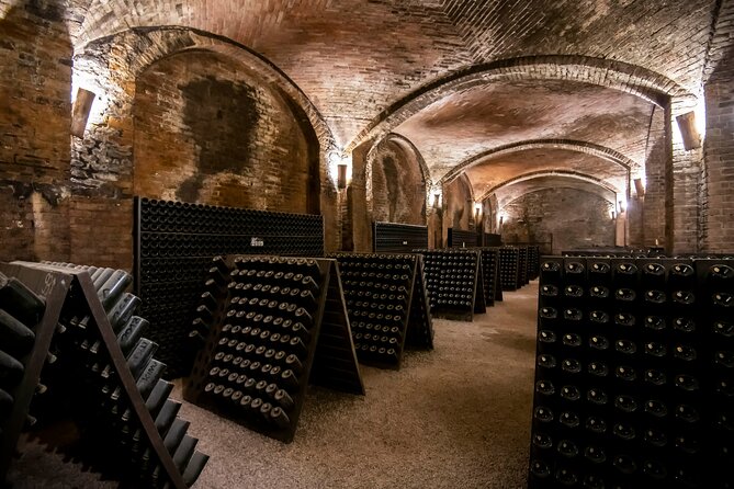 Piemonte Vineyards by Yourself from Turin by Luxury Van with English Chauffeur - What the strong service feedback tells you