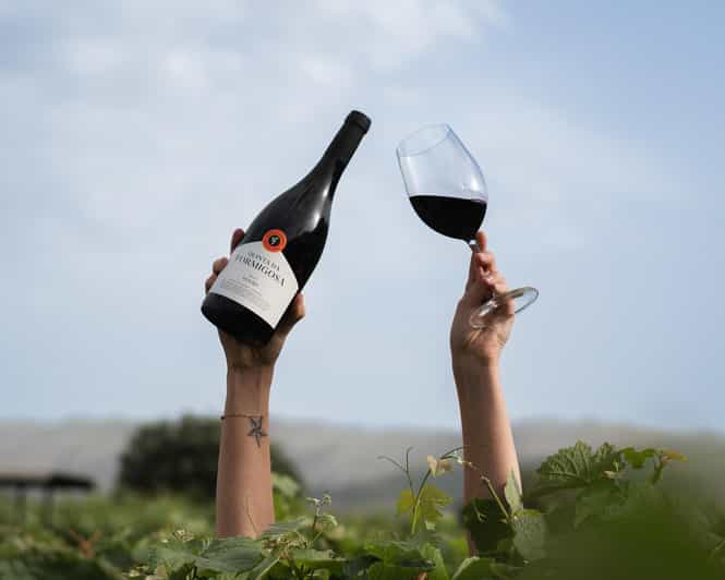 Pinhão: Quinta da Formigosa Vineyard Tour and Wine Tasting - Why Quinta da Formigosa feels different