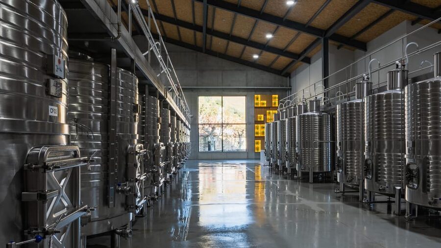 Pinhão: Quinta da Formigosa Vineyard Tour and Wine Tasting - Inside the winery: grape to bottle in 30 minutes