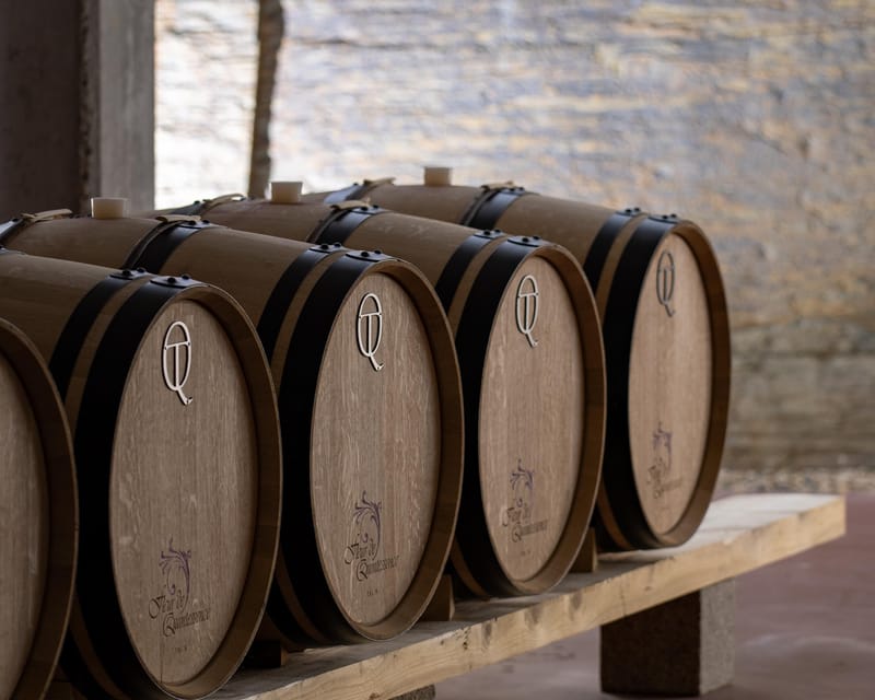 Pinhão: Quinta da Formigosa Vineyard Tour and Wine Tasting - Is $35 a good value?