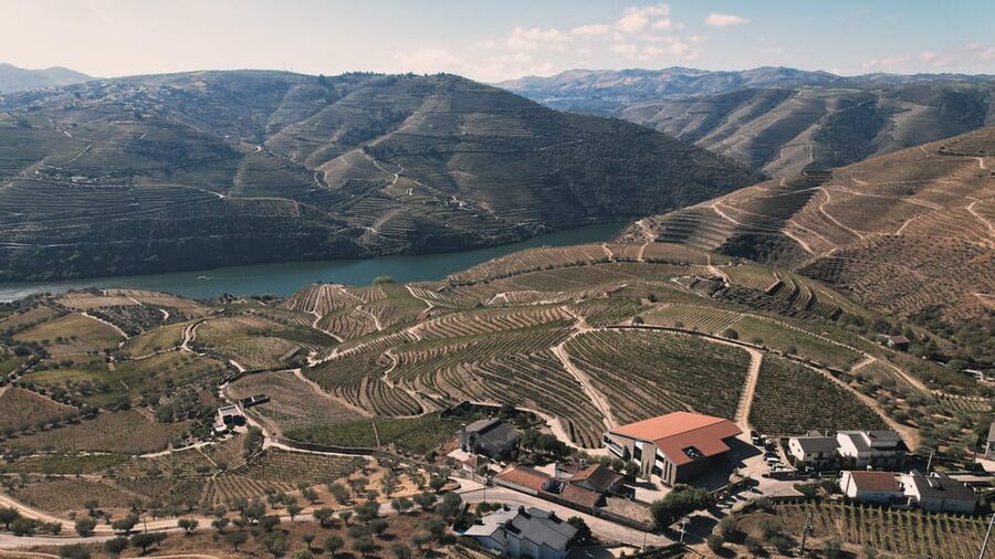 Pinhão: Quinta da Formigosa Vineyard Tour and Wine Tasting - Practical advice for a smooth visit