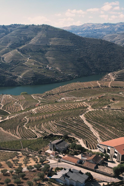Pinhão: Quinta da Formigosa Vineyard Tour and Wine Tasting - Should you book Quinta da Formigosa?