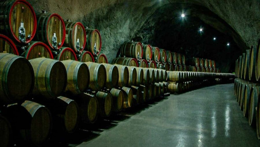 Podgorica by E-Bike: Vineyards, Wines & Waterfalls - Who should book this experience?