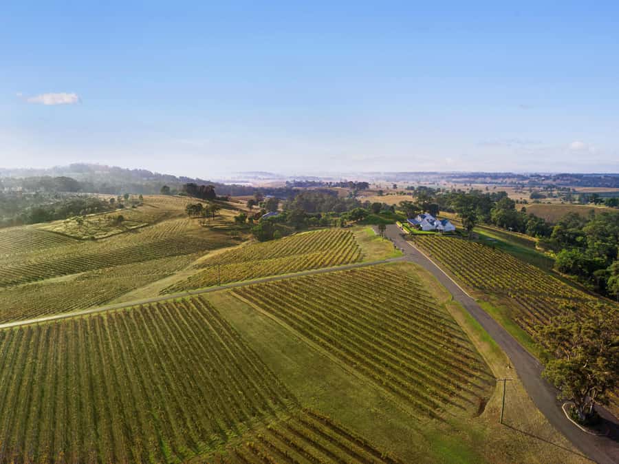 Pokolbin: Picnic & Wine Tasting at Audrey Wilkinson Vineyard - The wine master class with a personal host