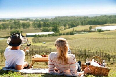 Pokolbin: Picnic & Wine Tasting at Audrey Wilkinson Vineyard