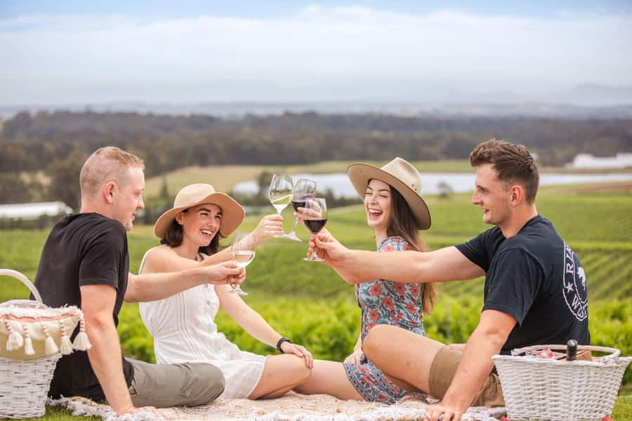 Pokolbin: Picnic & Wine Tasting at Audrey Wilkinson Vineyard - The views are a major part of the value