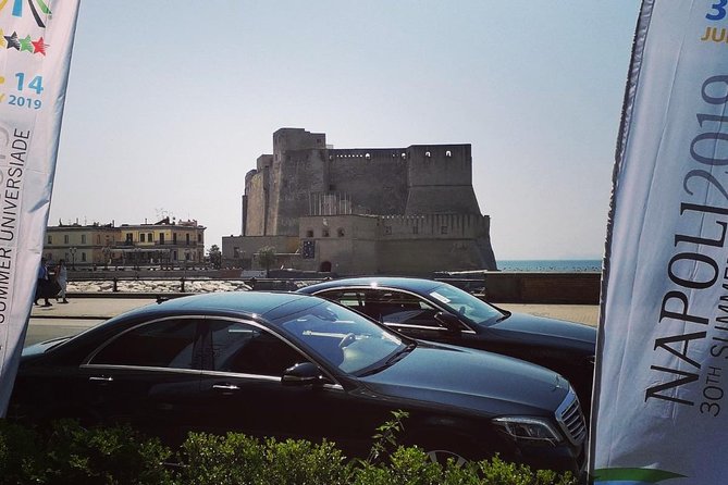 Pompeii excavations and its vineyards - Meeting in Naples at Le 4 Porte