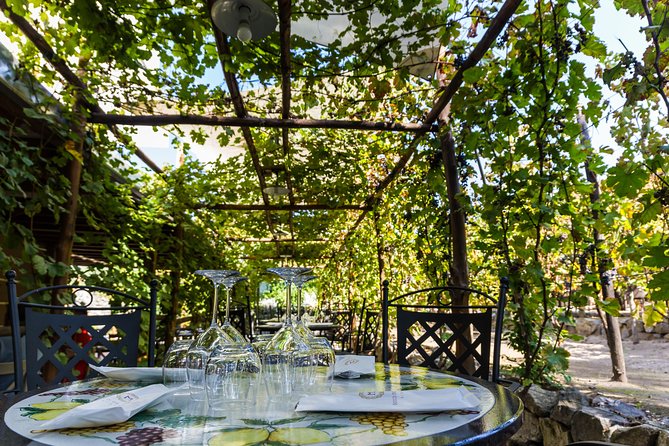 Pompeii Vineyard Escape: Private Wine Tasting & Lunch - Ancient Burial Ground and Wine Rooms