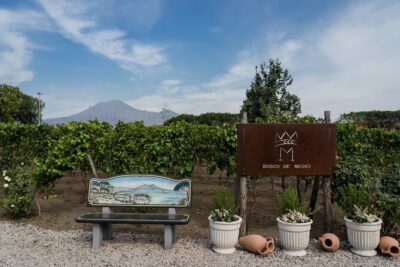 Pompeii Vineyard Escape: Private Wine Tasting & Lunch