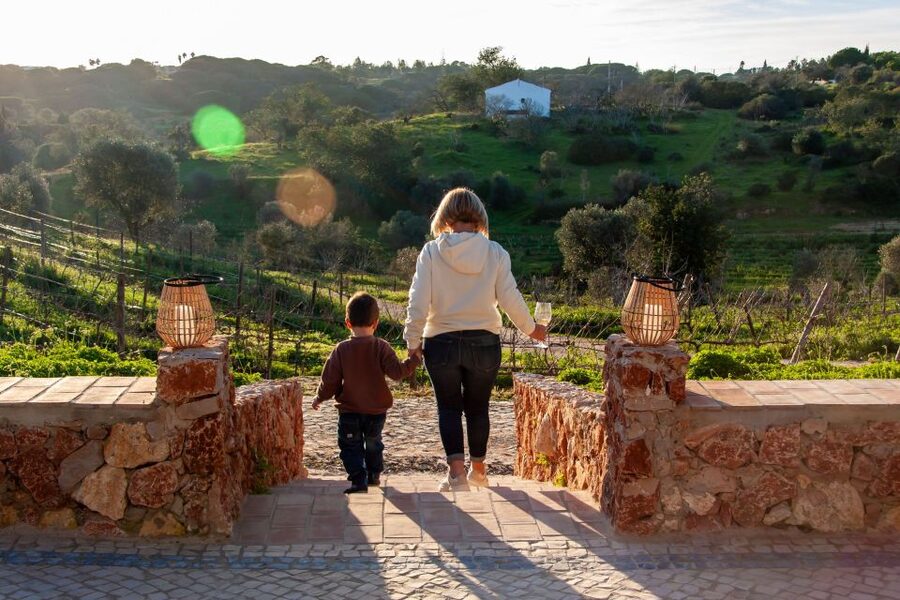 Porches: Algarve Vineyard Tour and Wine Tasting Experience - Should you book the Quinta dos Capinhas tasting?