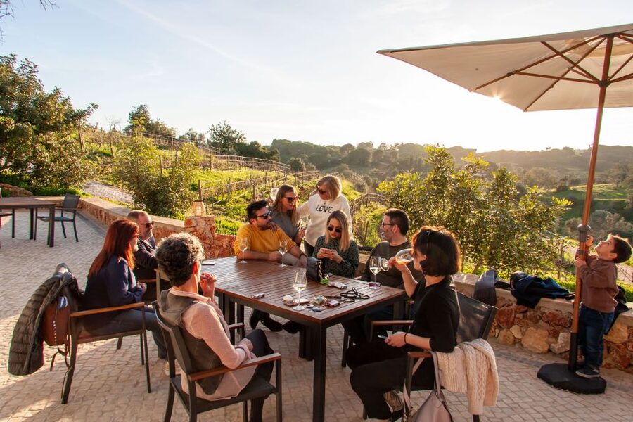 Porches: Algarve Vineyard Tour and Wine Tasting Experience - The vineyard walk is short and scenic