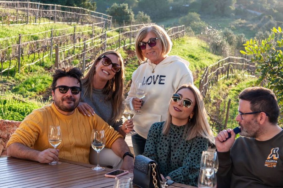Porches: Algarve Vineyard Tour and Wine Tasting Experience - Four Algarve wines and a generous table