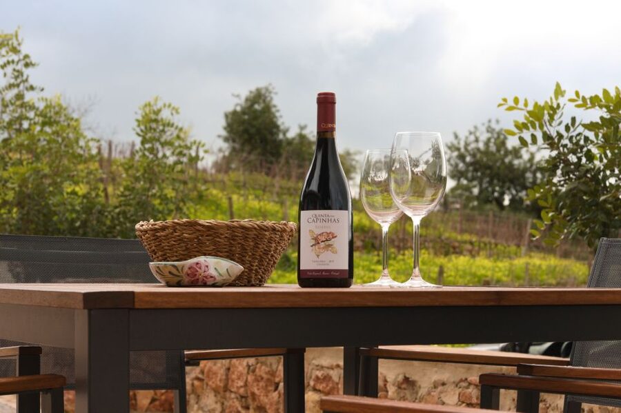 Porches: Algarve Vineyard Tour and Wine Tasting Experience - What makes the setting worth the price