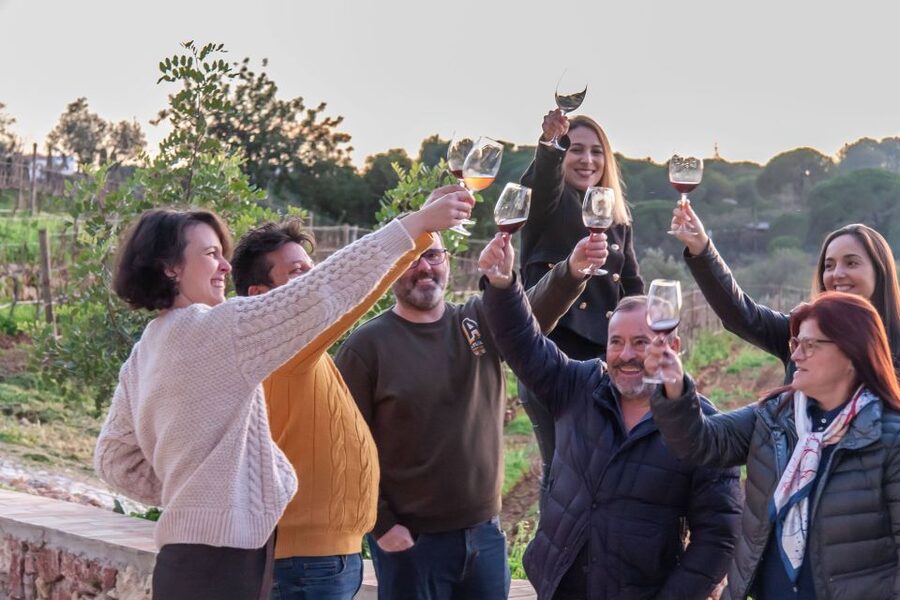 Porches: Algarve Vineyard Tour and Wine Tasting Experience - The outdoor format and Algarve weather