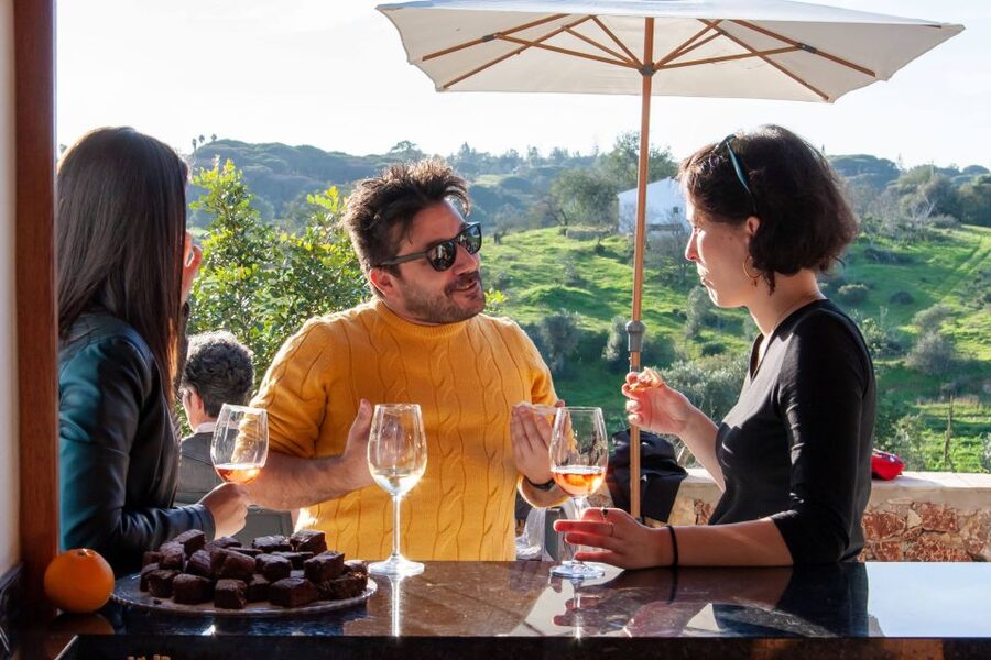 Porches: Algarve Vineyard Tour and Wine Tasting Experience - Practical tips for a smoother visit