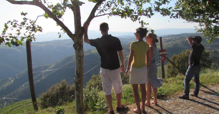 Porto: 3 Douro Valley Vineyards Tour with Lunch - Six things to know before you book