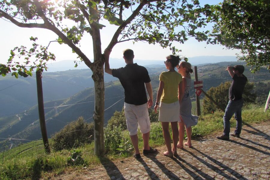 Porto: 3 Douro Valley Vineyards Tour with Lunch - First winery: a friendly start with wine and small bites