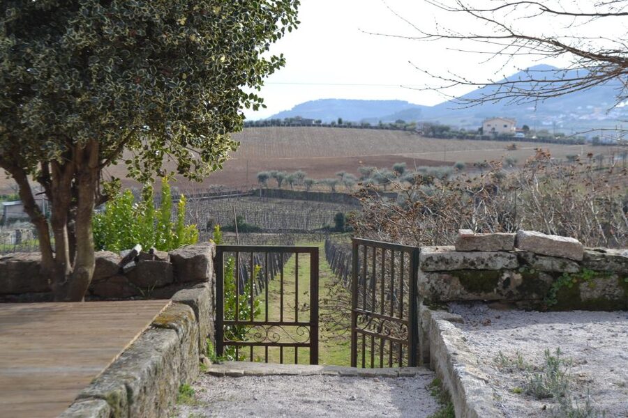 Porto: 3 Douro Valley Vineyards Tour with Lunch - Second winery: views, Port, and a slower pace
