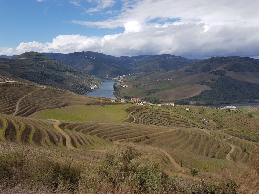 Porto: 3 Douro Valley Vineyards Tour with Lunch - Guides make or break a long day