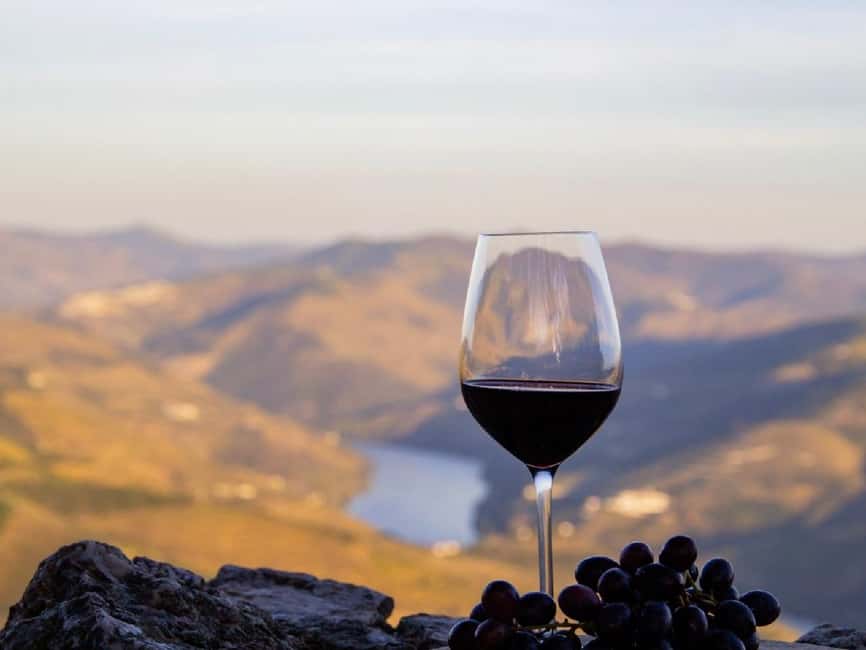 Porto: 3 Wine Regions & Farm Lunch with Views Small-Group - Who should book this experience