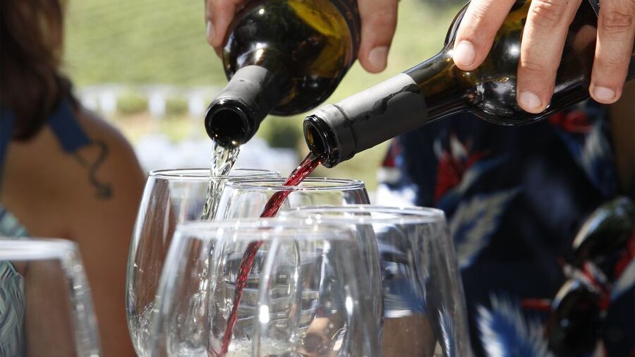 Porto: 3 Wine Regions & Farm Lunch with Views Small-Group - Why this Douro day works so well from Porto