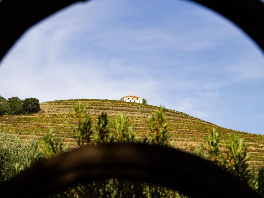 Porto: 3 Wine Regions & Farm Lunch with Views Small-Group - First wine stop around Pinhão