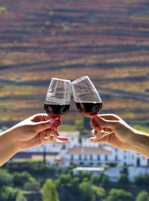 Porto: 3 Wine Regions & Farm Lunch with Views Small-Group - Lunch in Sabrosa with wine on the table