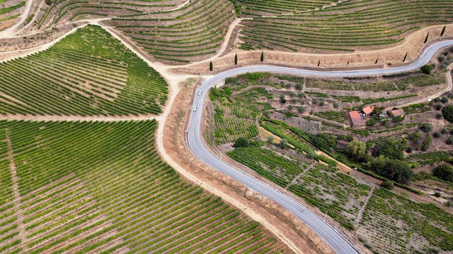 Porto: 3 Wine Regions & Farm Lunch with Views Small-Group - The ride back to Porto