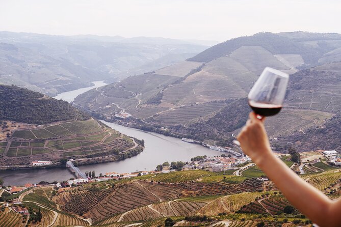 Porto: Douro Valley, 2 Wine Regions, Sommelier, Boat Trip & Lunch - Pinhao lunch: local food with DOC Douro wine