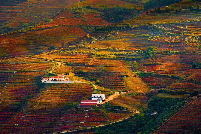 Porto: Douro Valley, 2 Wine Regions, Sommelier, Boat Trip & Lunch - Pinhao by boat: one quiet hour on the Douro