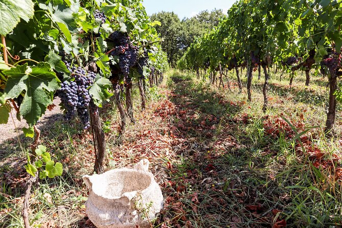 Porto: Douro Valley, 2 Wine Regions, Sommelier, Boat Trip & Lunch - Sao Cristovao do Douro: another photo pause