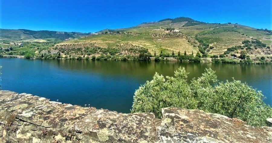 Porto: Douro Valley Private Tour 2 Vineyards & River Cruise - Sabrosa lunch with vineyard views