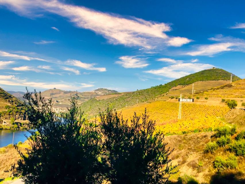 Porto: Douro Valley Private Tour 2 Vineyards & River Cruise - São Cristovão do Douro and the best photo stops