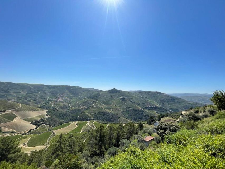 Porto: Douro Valley Private Tour 2 Vineyards & River Cruise - What makes the private format worth the price