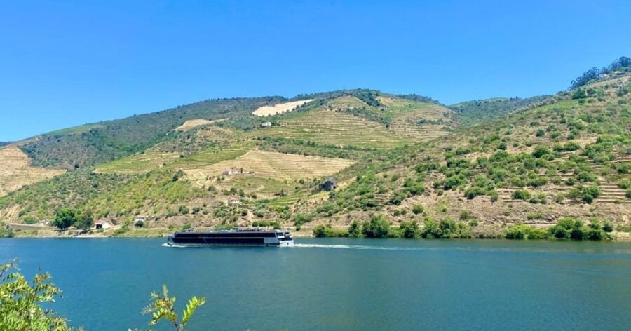 Porto: Douro Valley Private Tour 2 Vineyards & River Cruise - The nine-hour rhythm and possible drawbacks