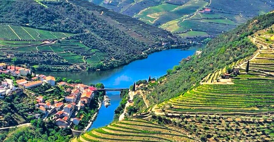 Porto: Douro Valley Private Tour 2 Vineyards & River Cruise - The drive along the N222 and first views of the valley